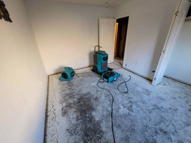 Best Commercial water damage restoration  in Springville, AL