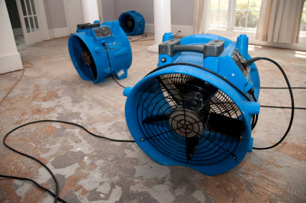 Best Water damage restoration near me  in Springville, AL